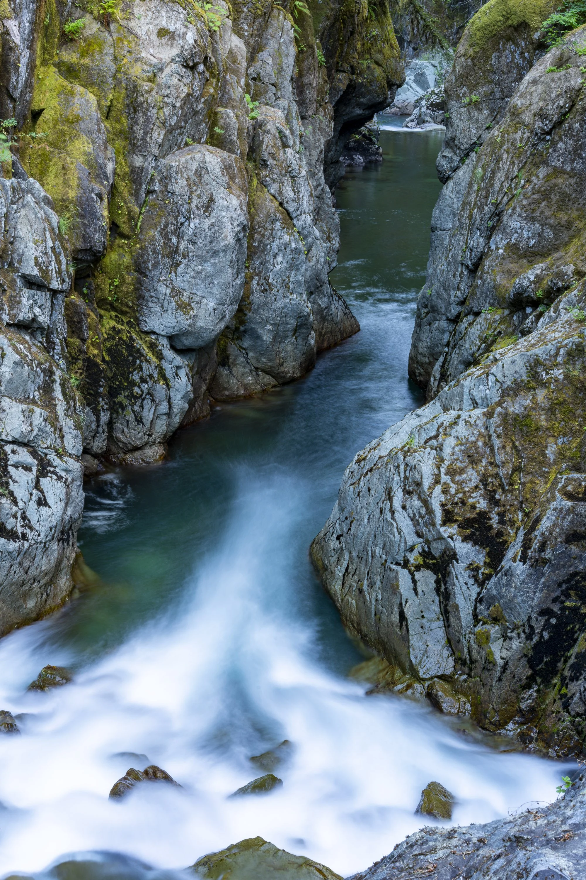 mount Rainier social edit 4-11.jpg
