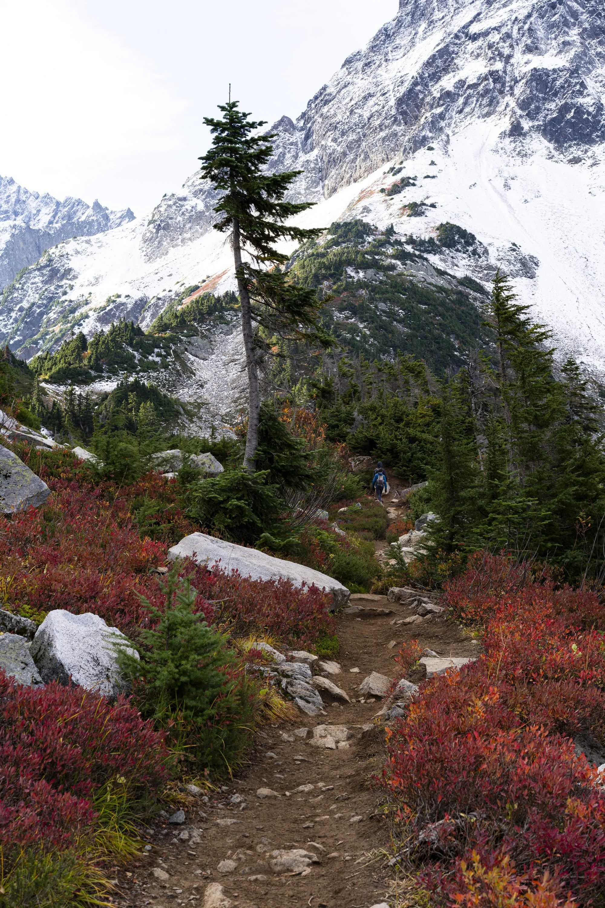 Sahale trail social.jpg