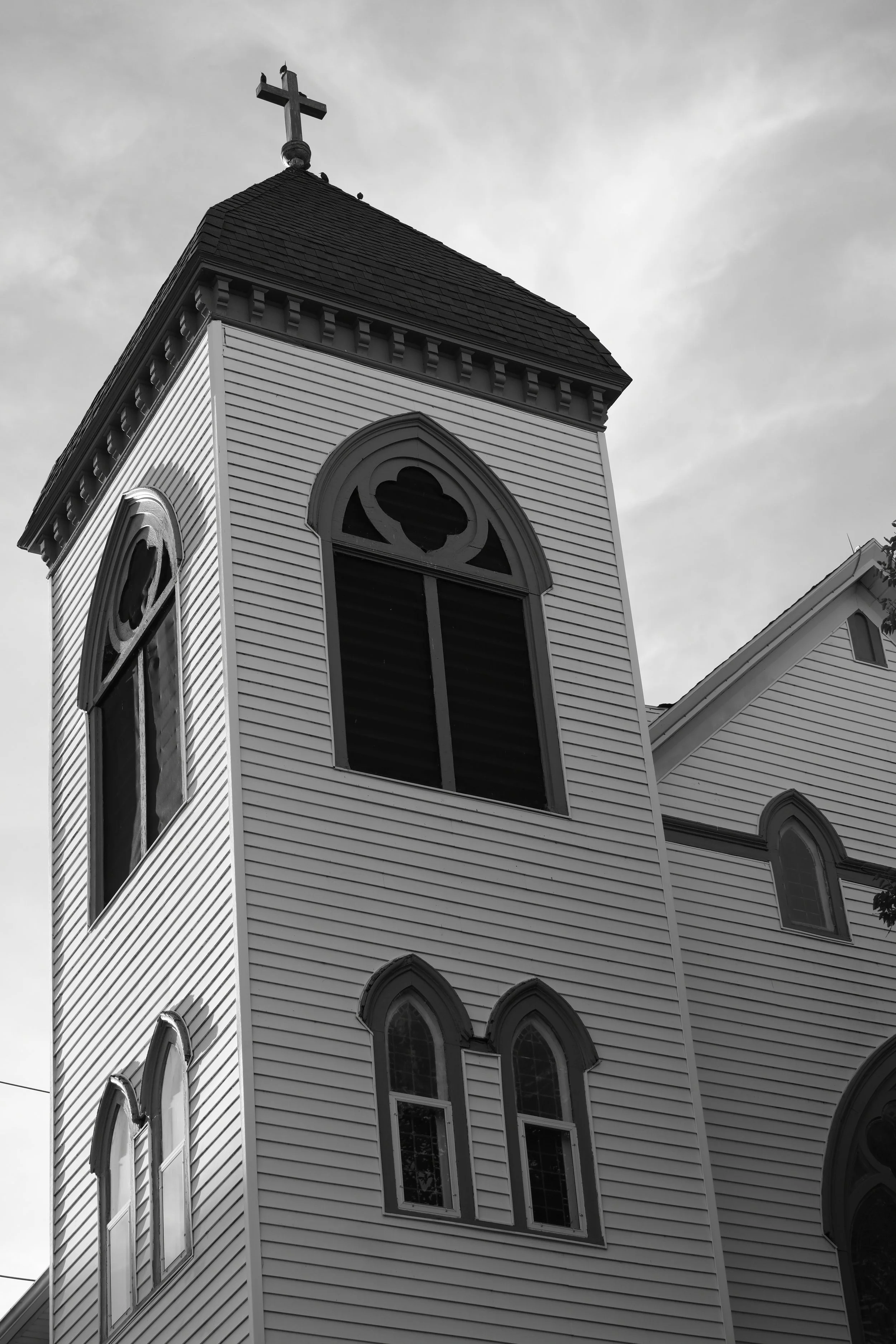DSC_8858.JPG