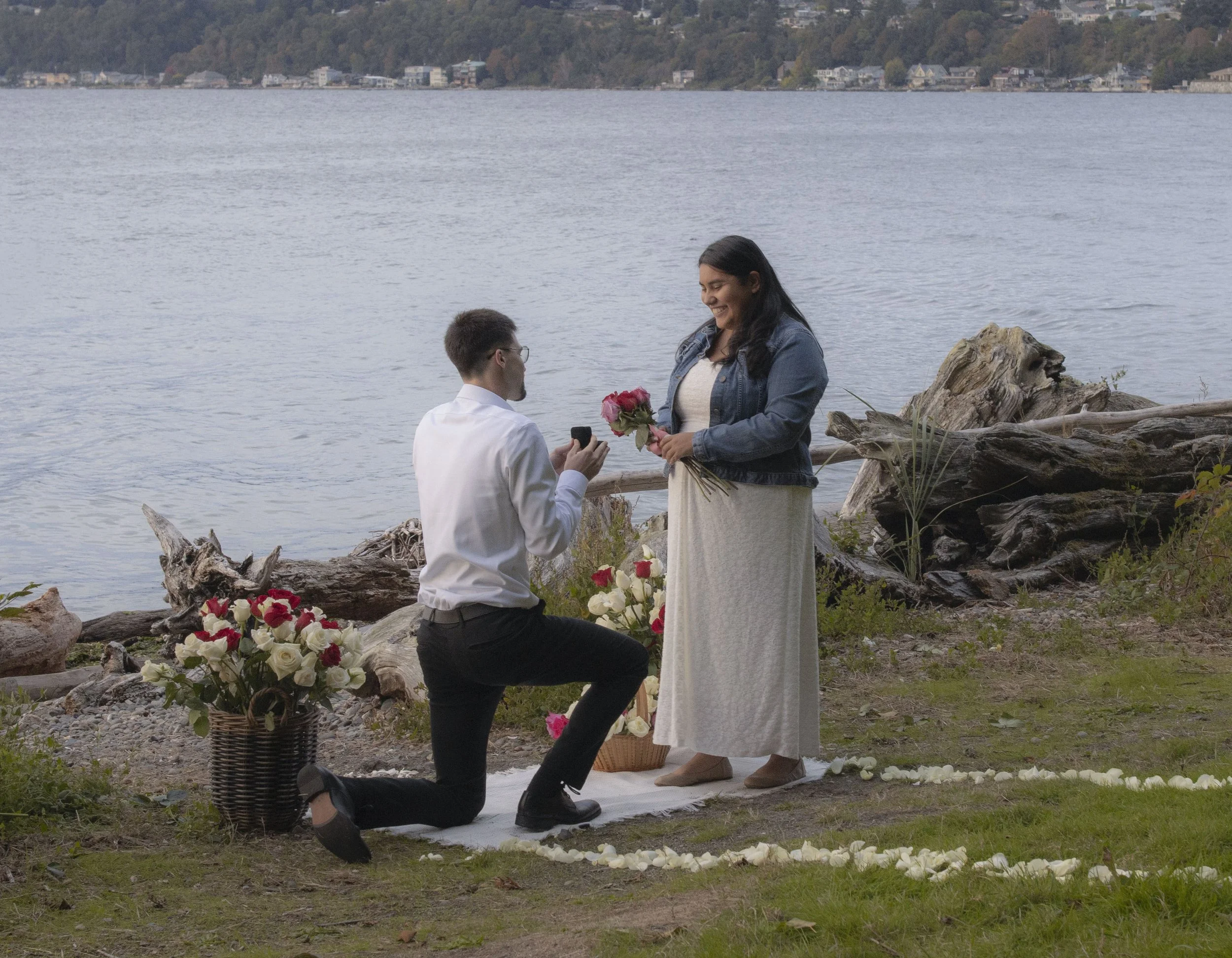 S&Eproposal10.0.jpg