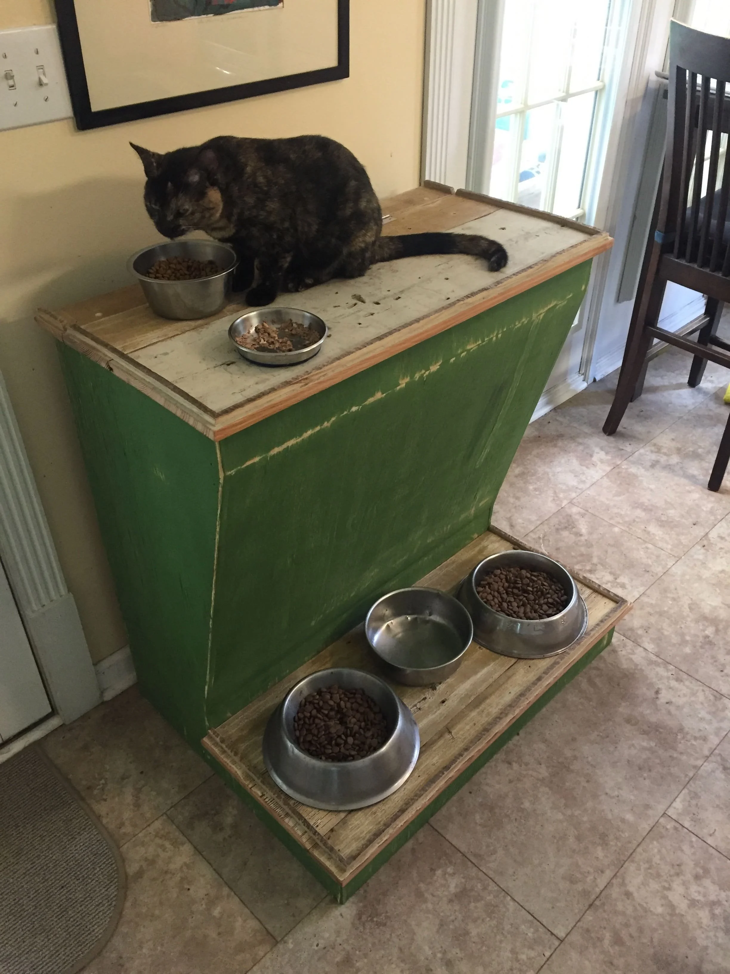pet feeding station - plywood