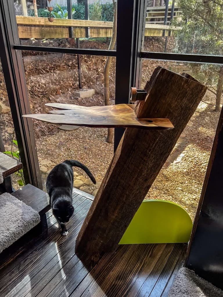 at the owner's home