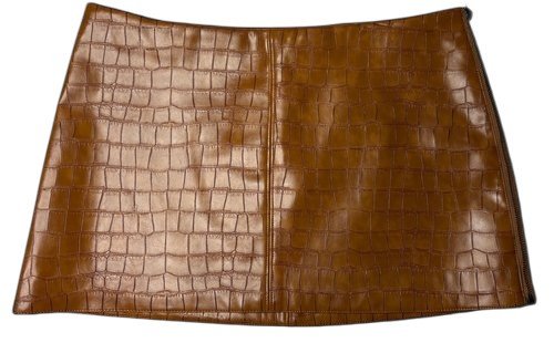 Faux Leather Skirt (14)