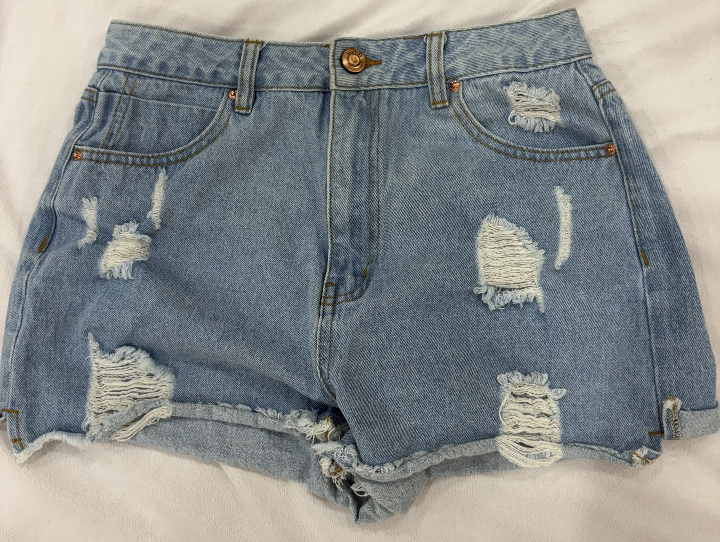 Distressed Shorts (12)