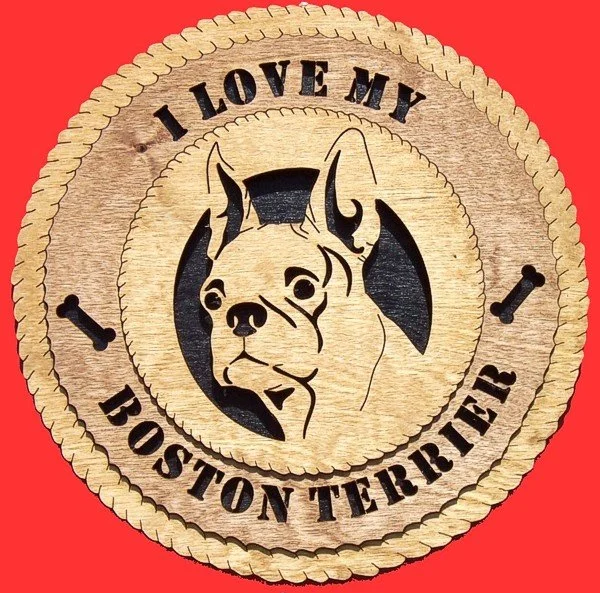 Boston Terrier.jpg