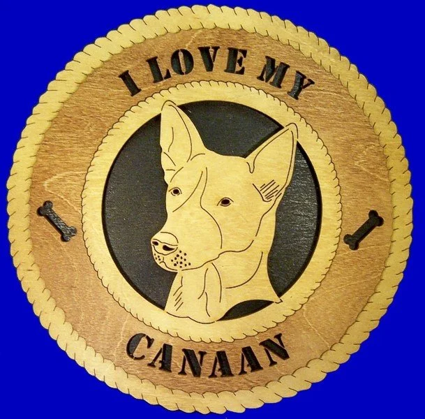 CANAAN.jpg
