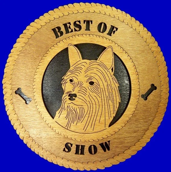 SILKY TERRIER.jpg
