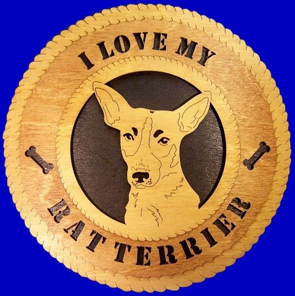 RAT TERRIER.jpg