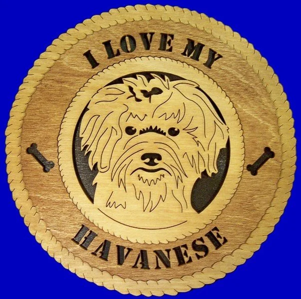 HAVANESE.jpg