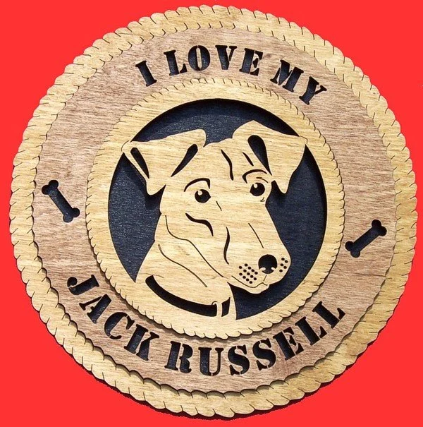 Jack Russell.jpg