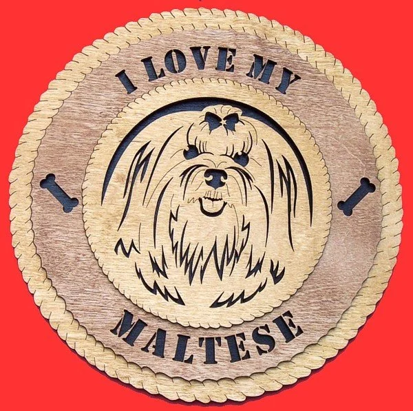 Maltese.jpg