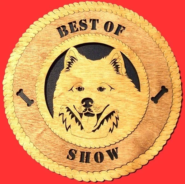 Samoyed.jpg