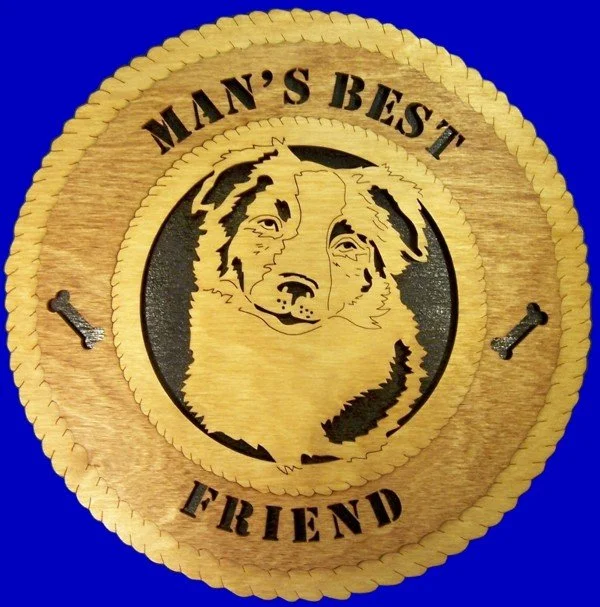 AUS. SHEPPARD-BORDER COLLIE.jpg