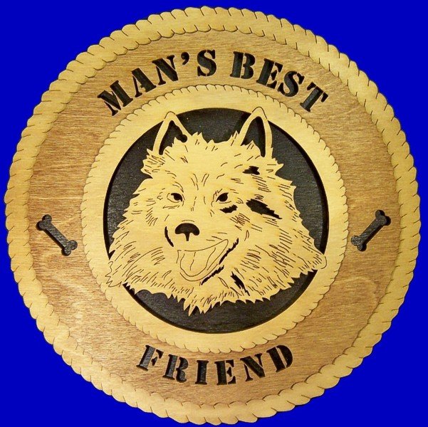 AMERICAN ESKIMO.jpg