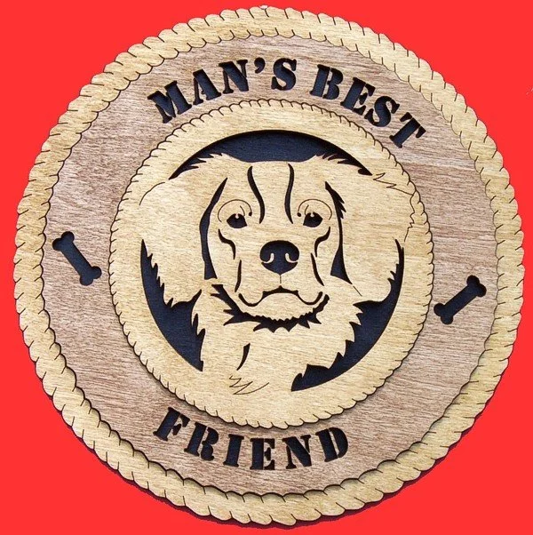 Brittany Spaniel.jpg