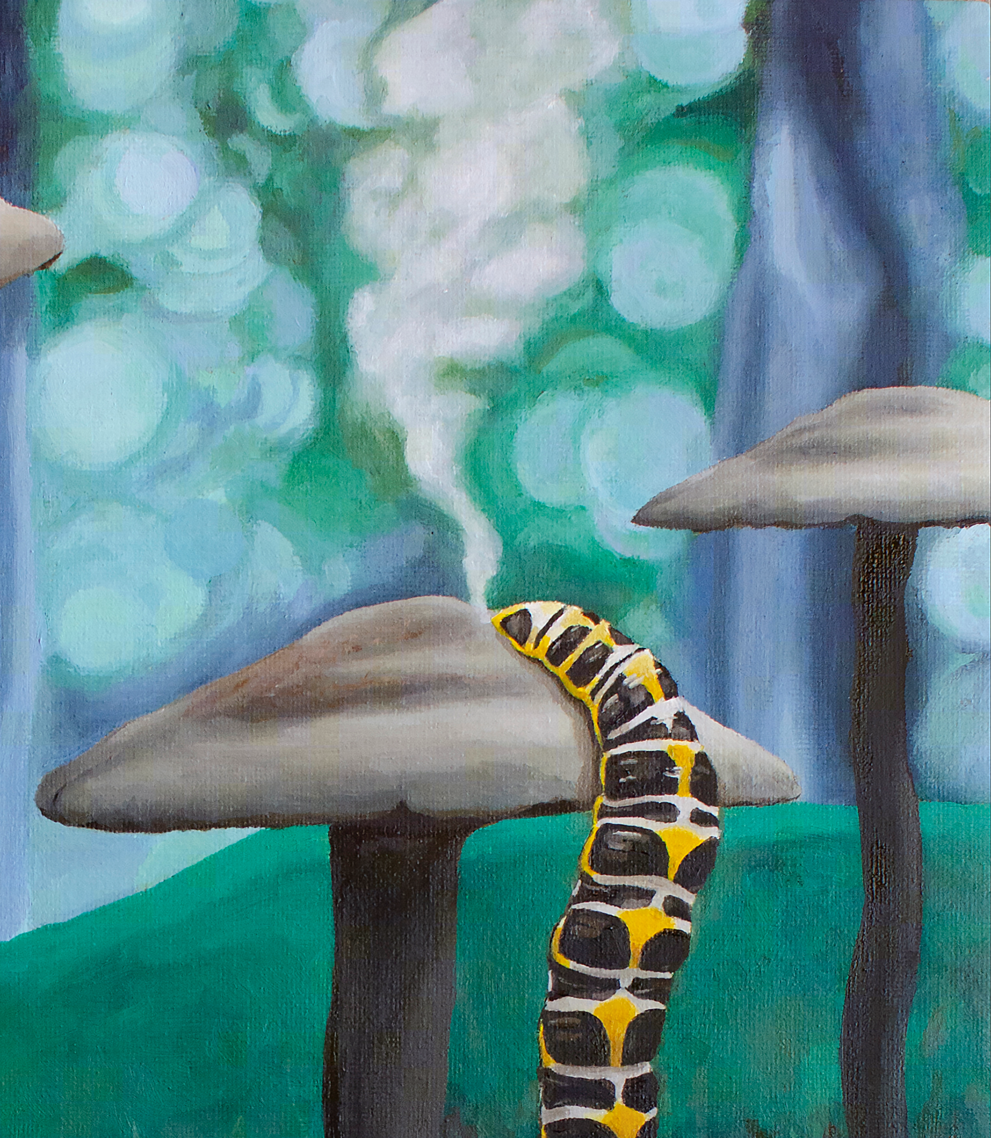 CCP_4287-crop_foxglove.png