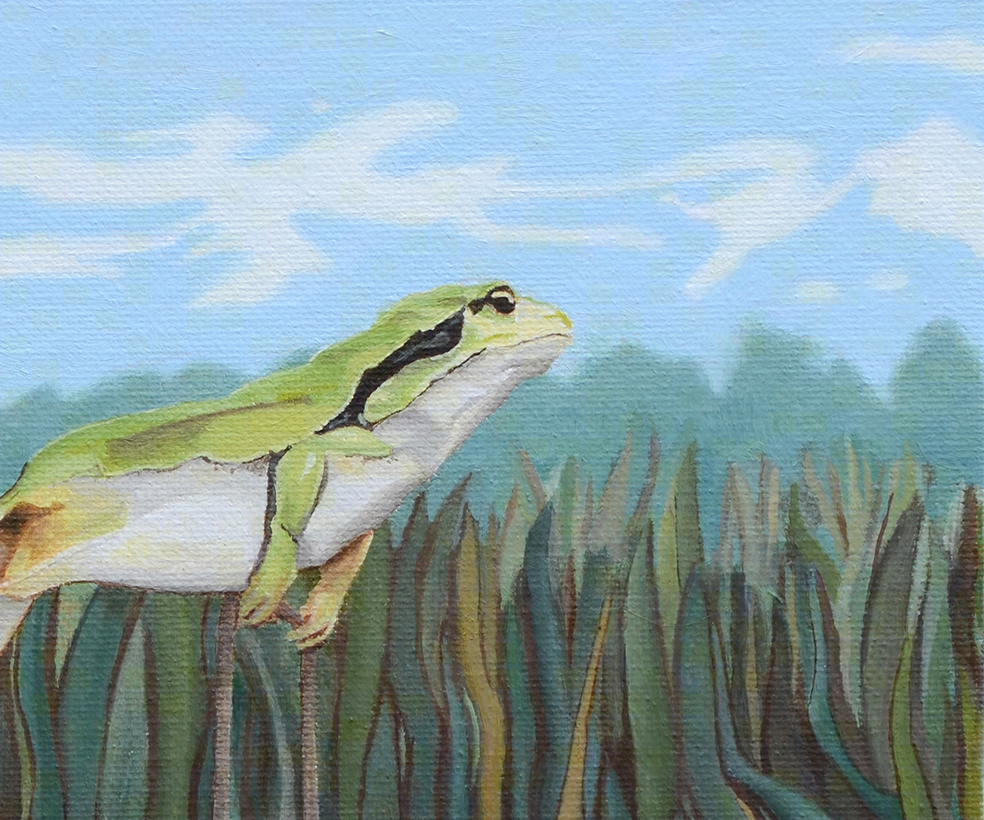 moving-frog-outsidephoto2-crop_foxglove.png (Copy)