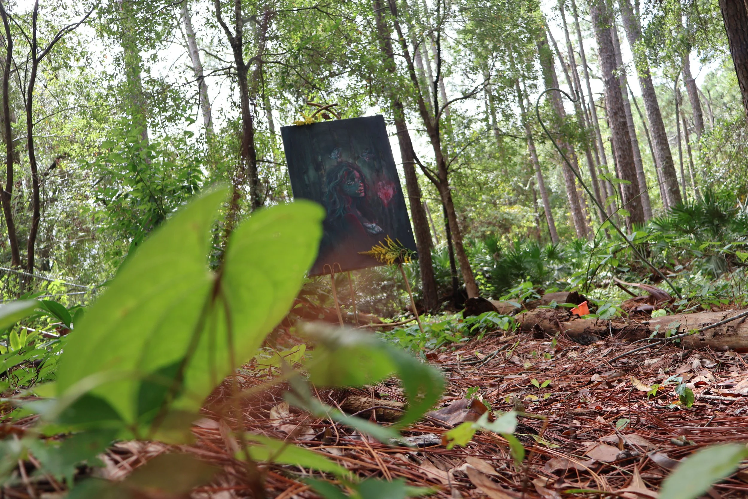 Dark portrait painting displayed among trees and ferns in a wooded forest