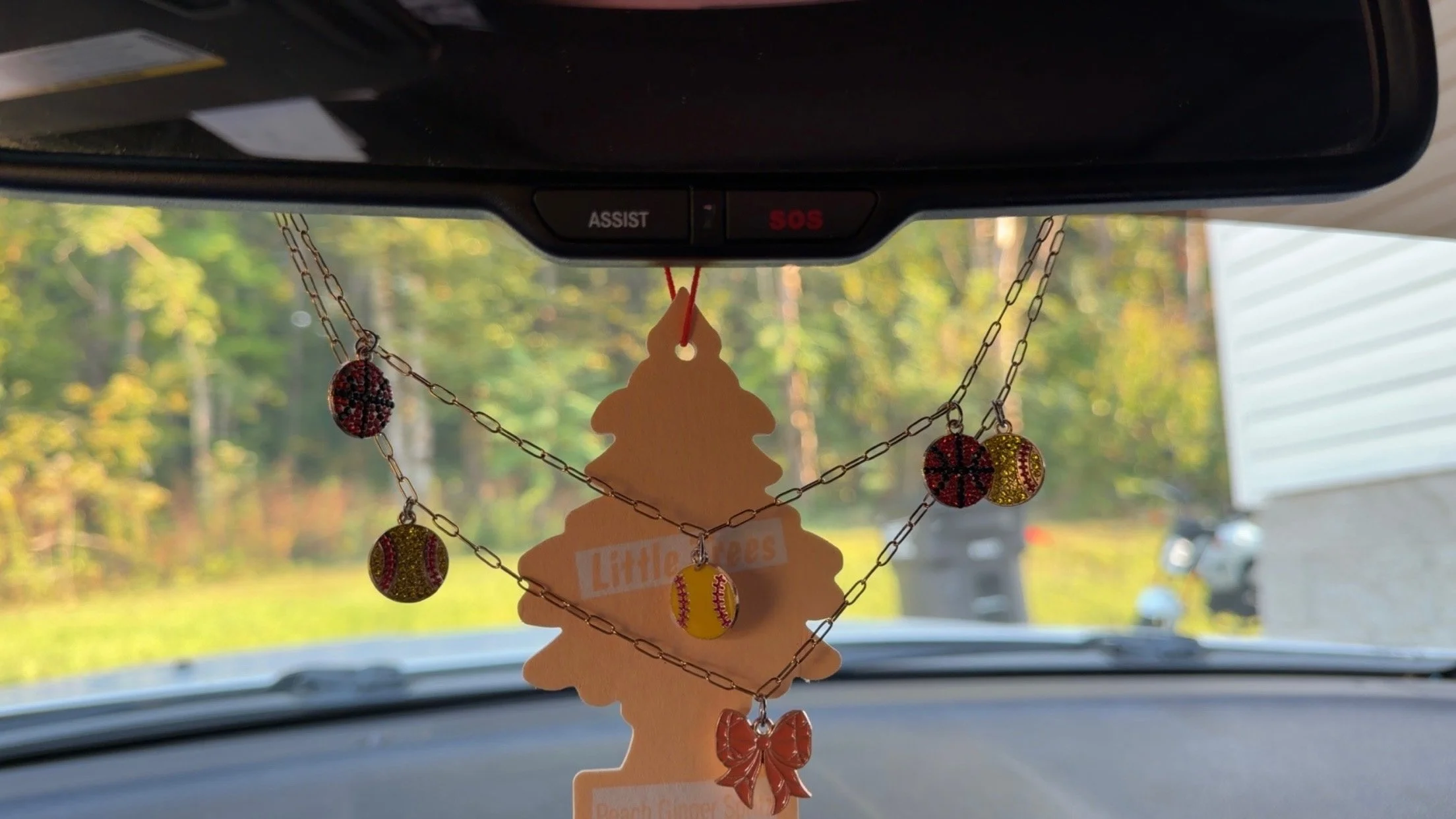 Car Charms