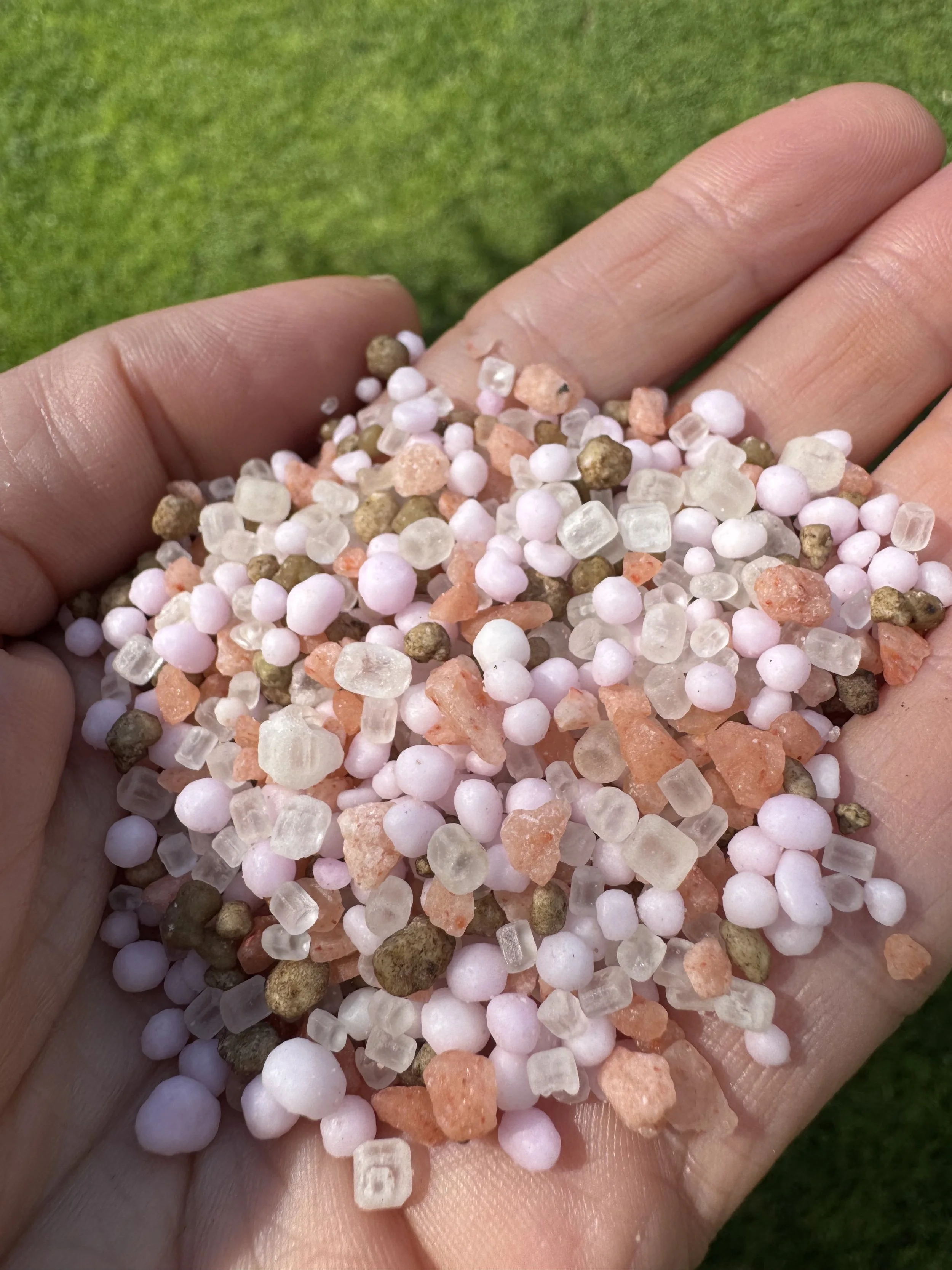 Close-up of a person's hand holding a small pile of colorful coarse salt crystals with a blurred green grassy background.