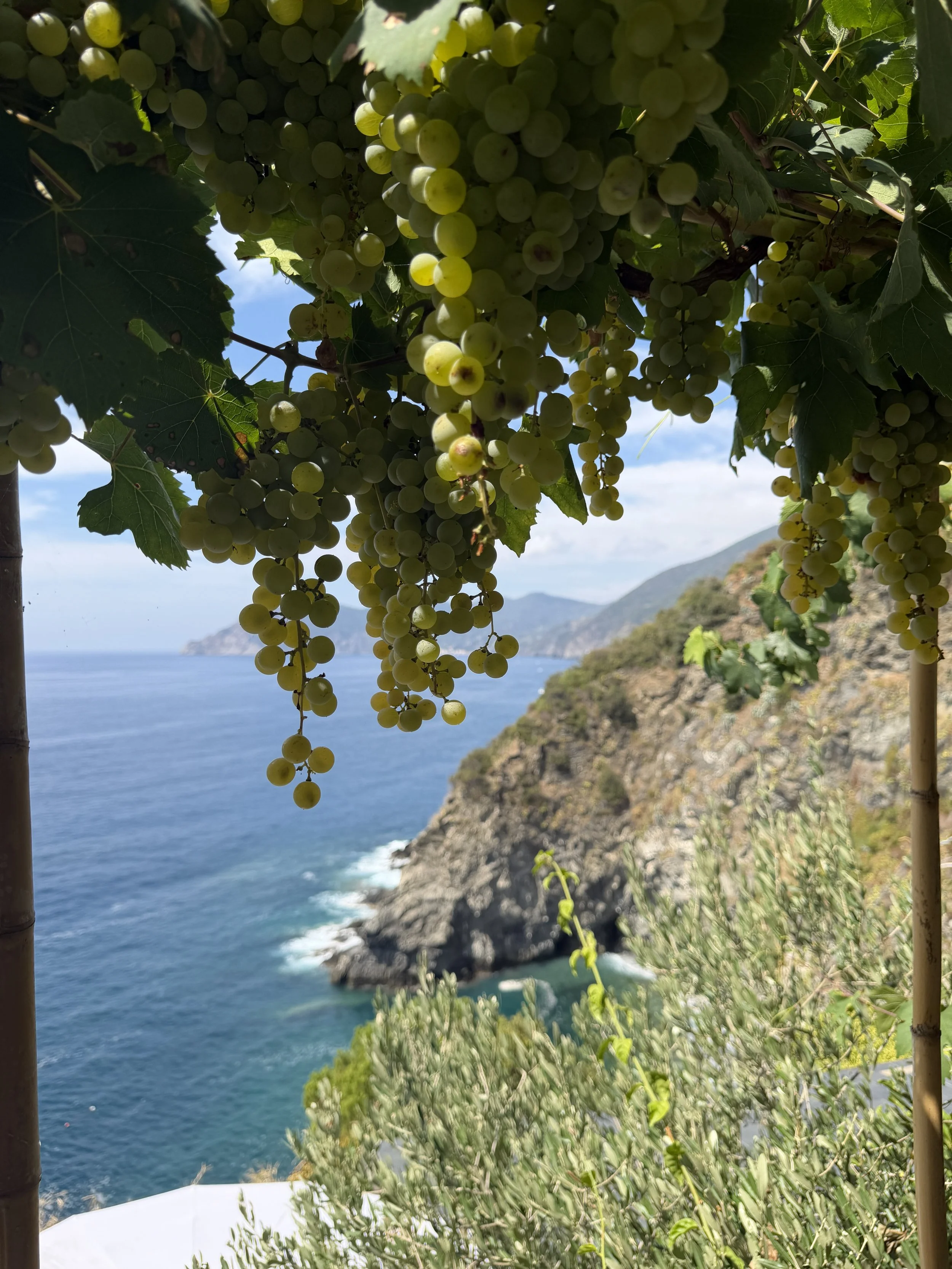 Would you like to know more about Sciacchetrà, the famous sweet dessert wine made from Cinque Terre grapes.