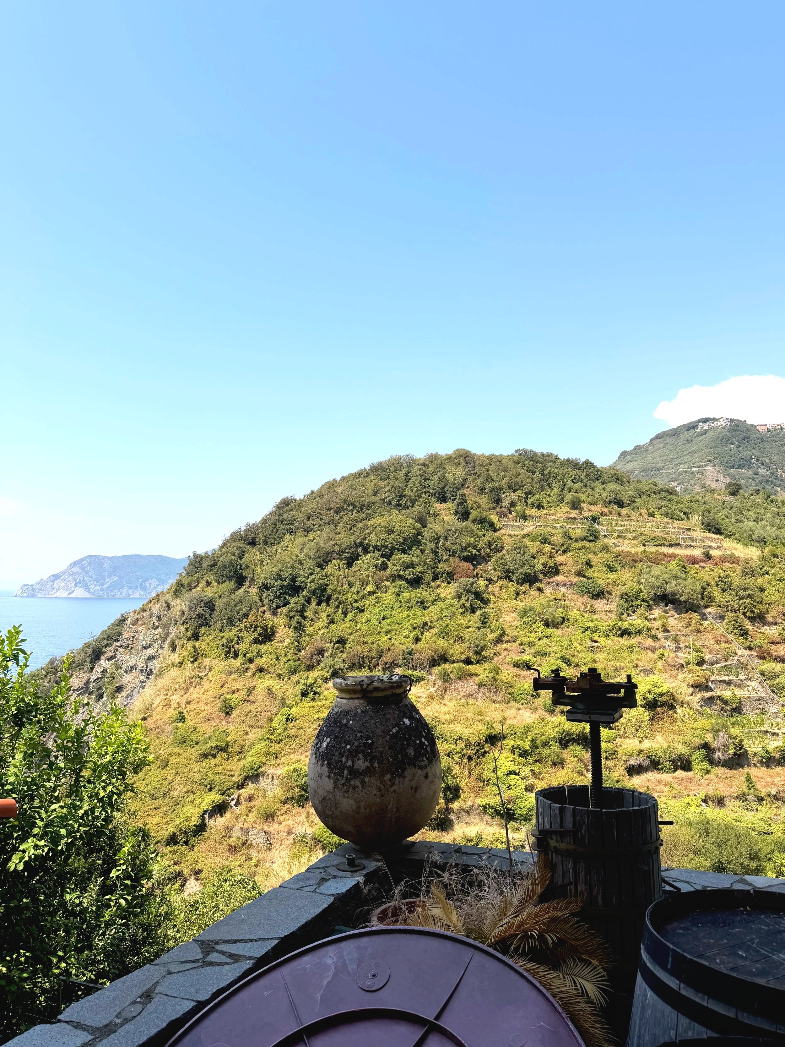 Immerse yourself in nature and discover Ligurian organic farms and agroturismo.
