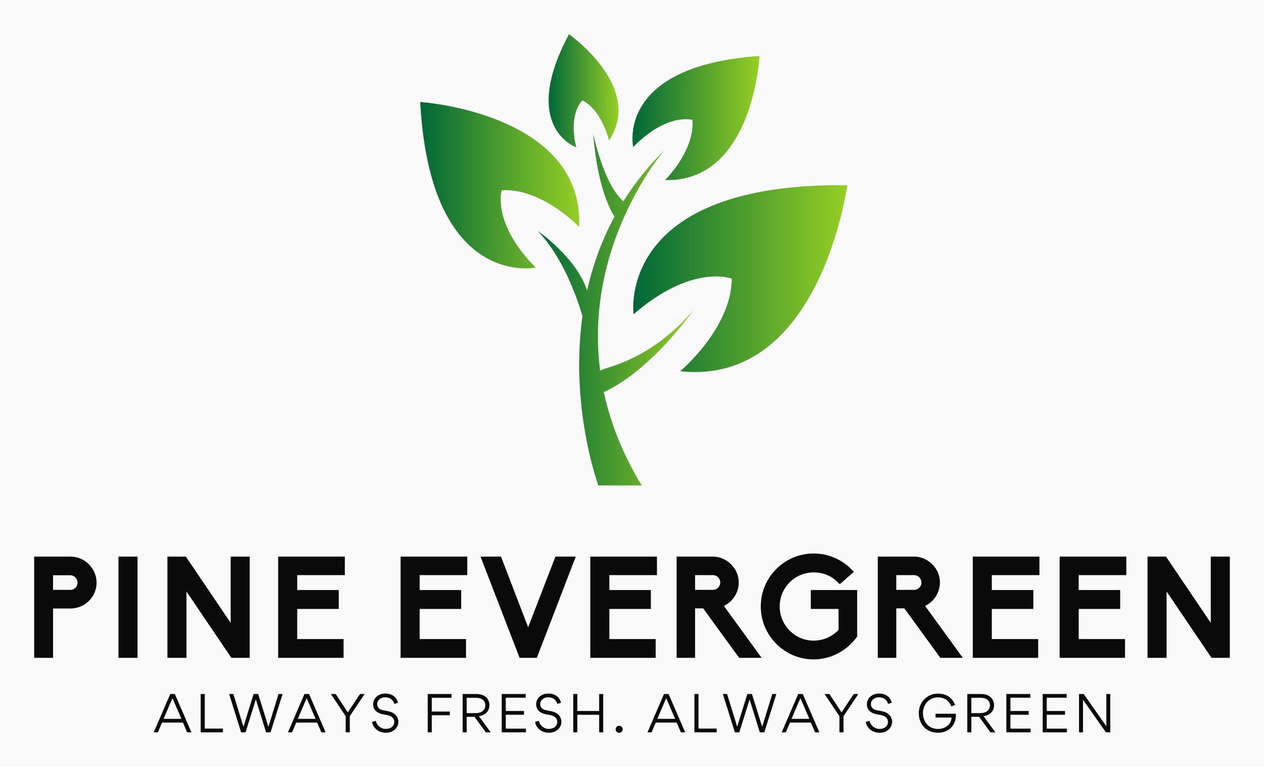 A logo featuring a green pine branch with leaves and the text "Pine Evergreen" and "Always Fresh. Always Green".