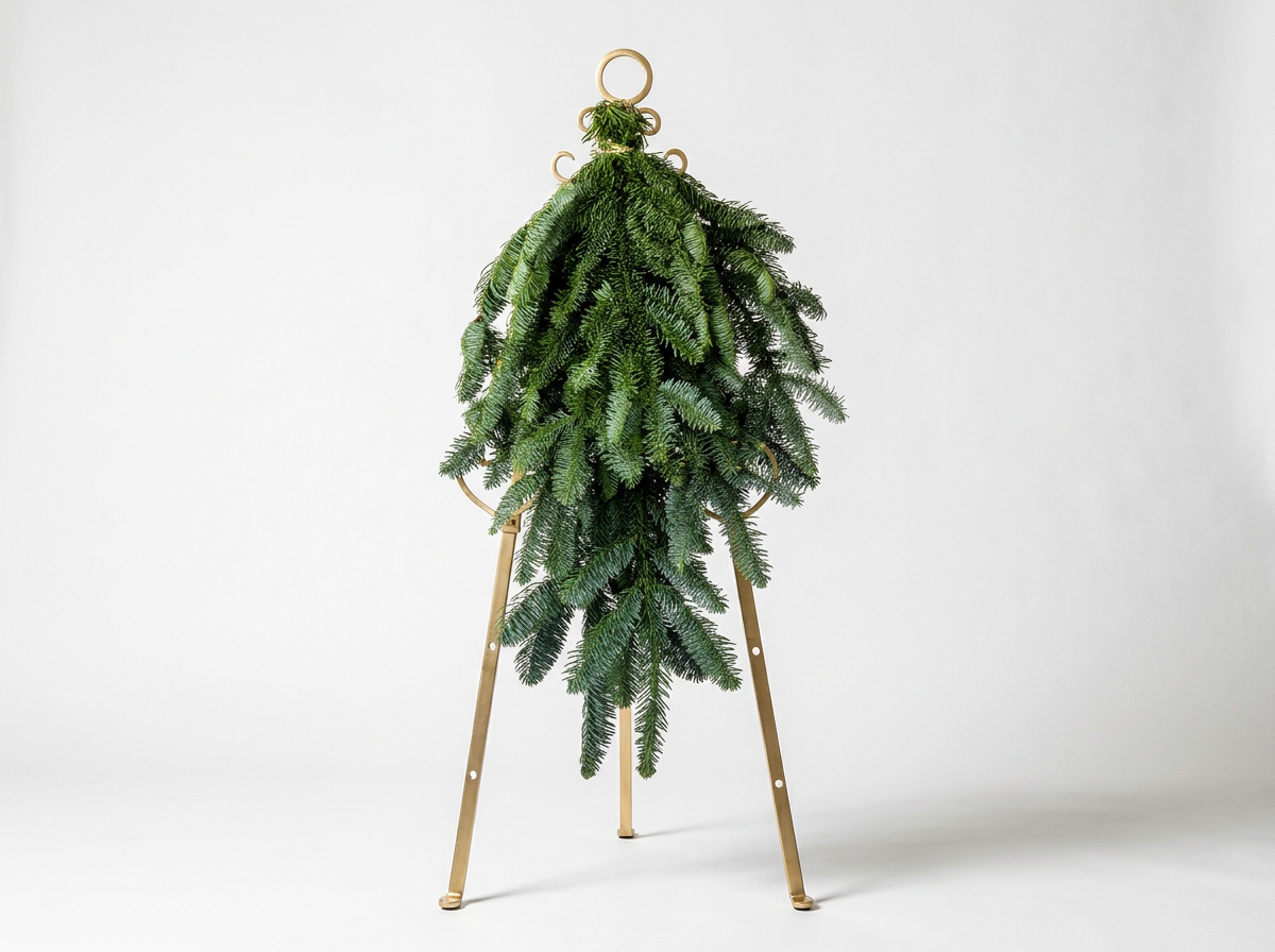Noble Fir