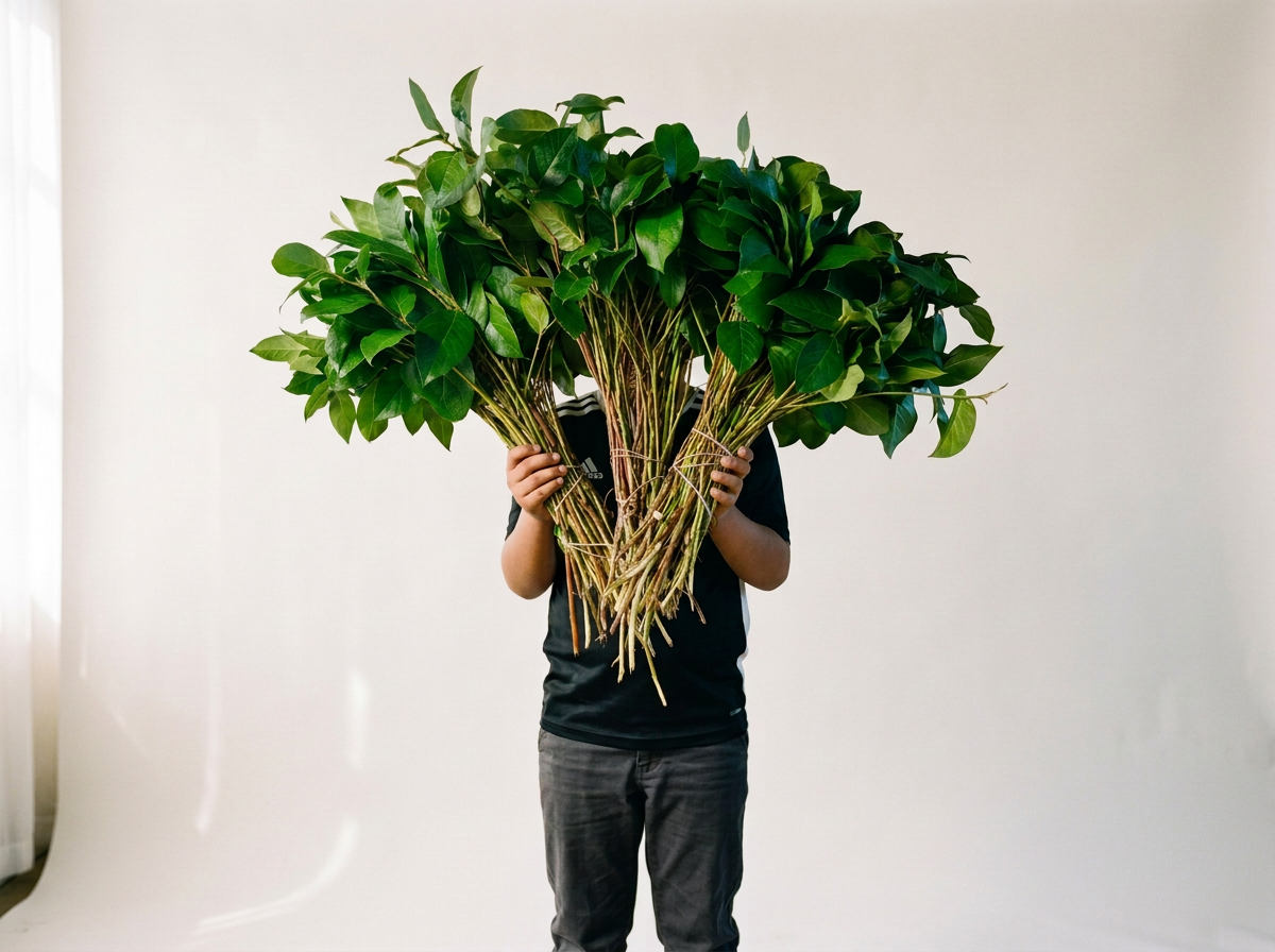 Salal (Lemon Leaf) – Long