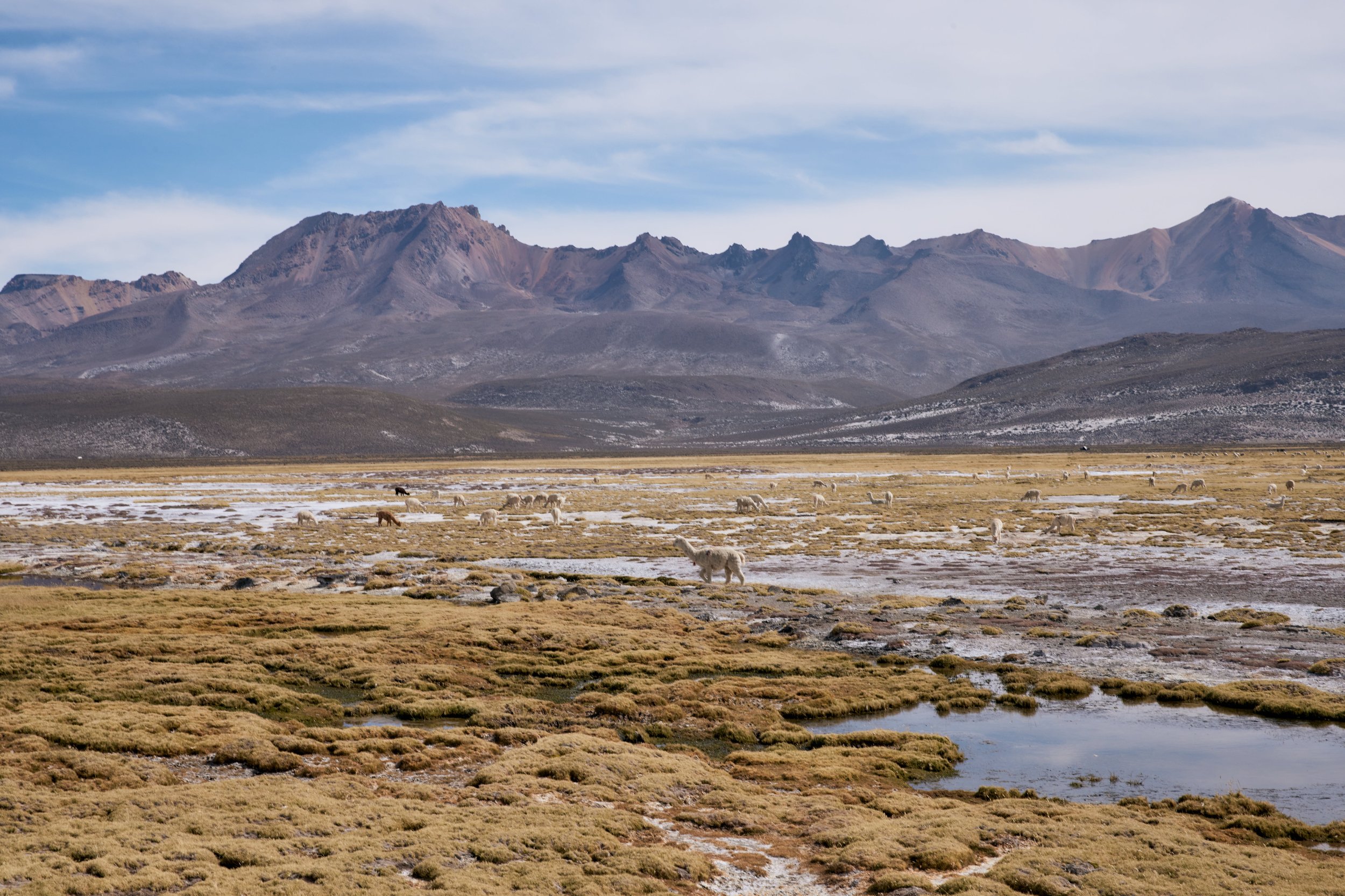 _48A6904.jpg