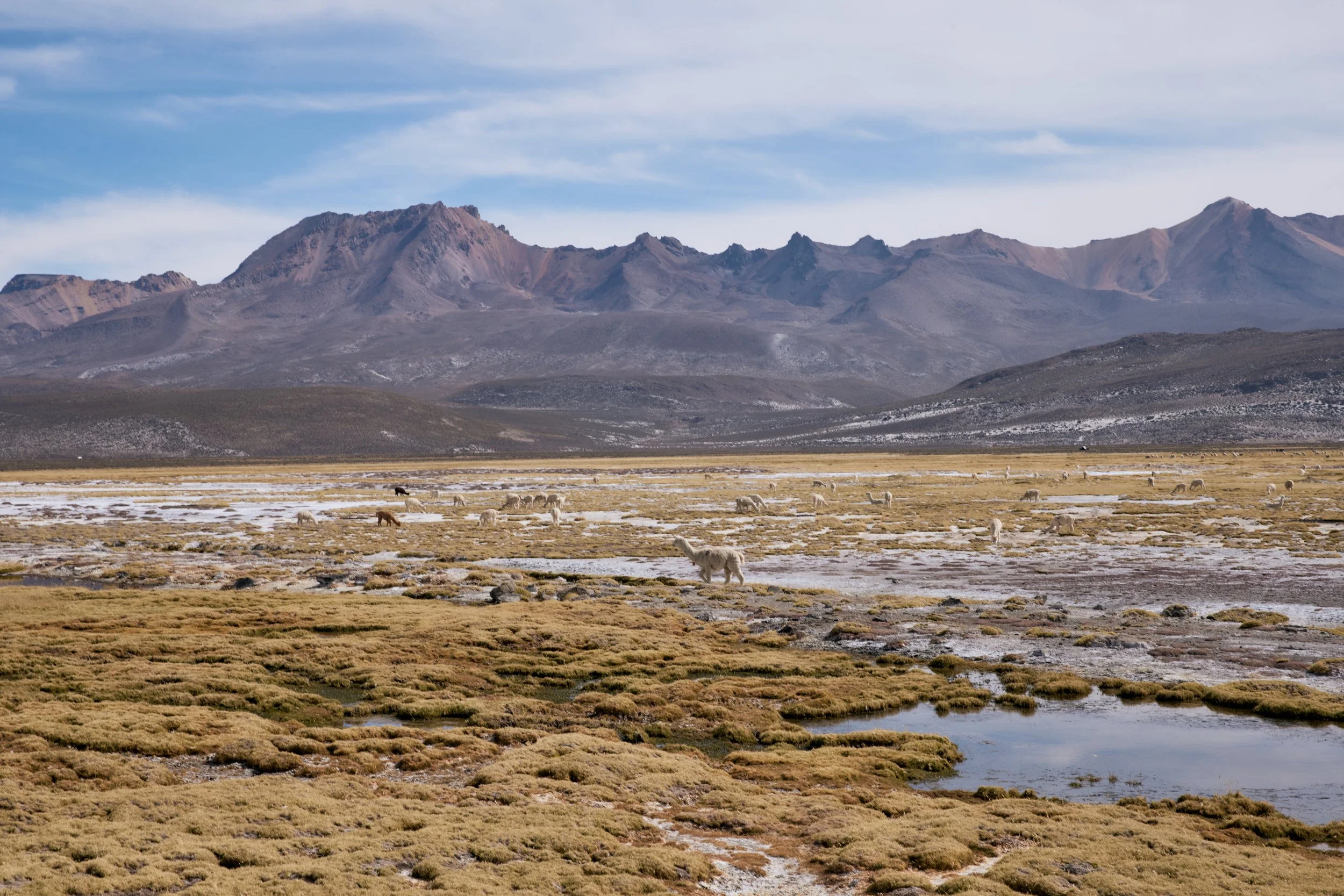 _48A6904.jpg