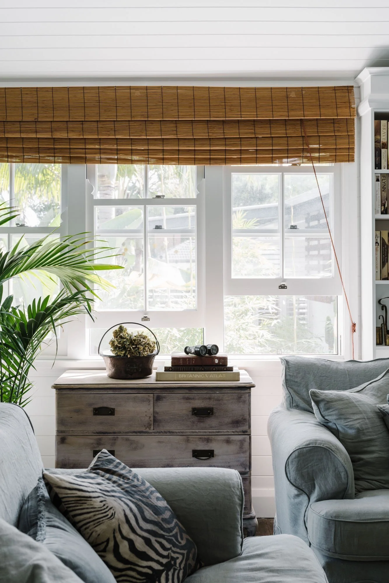 Living room with two light gray sofas, a wooden chest with dried flowers, binoculars, and books on top. A large window with white frames and bamboo blinds. Green plants near the window and bookshelf on the right side.