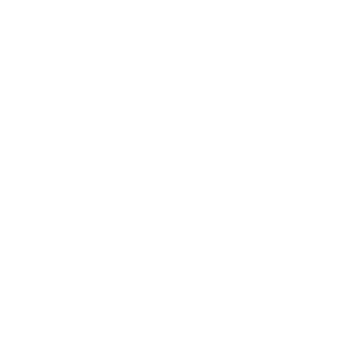 Dos estrellas brillantes en blanco y negro.