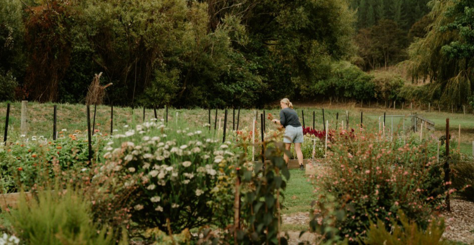 Woman working in flower garden with many beds.