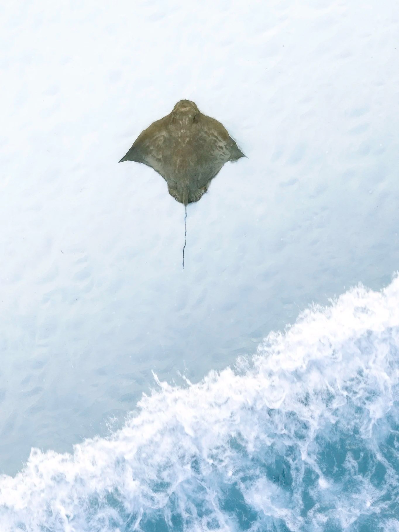 DJI_20231010173202_0075_D-Edit.png