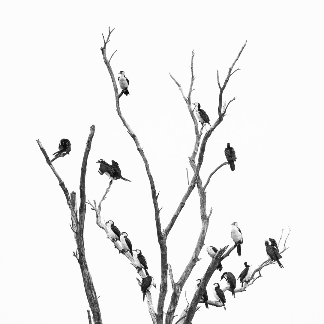 Scattered