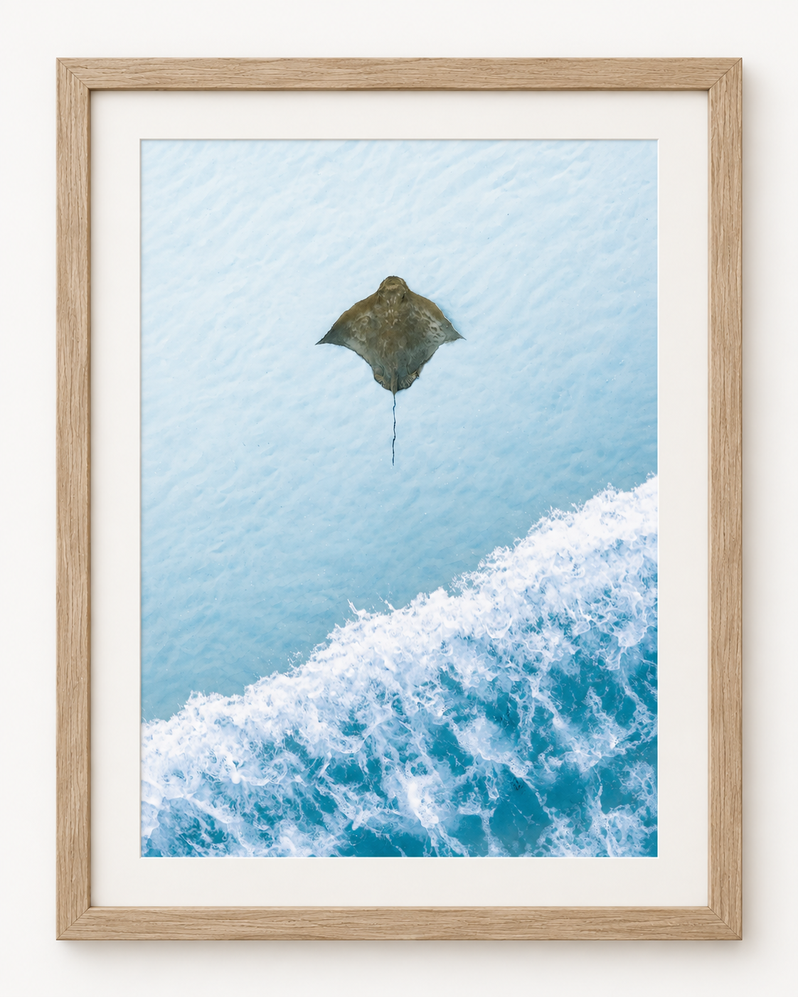 Framed Stingray Aerial Ocean Print.png