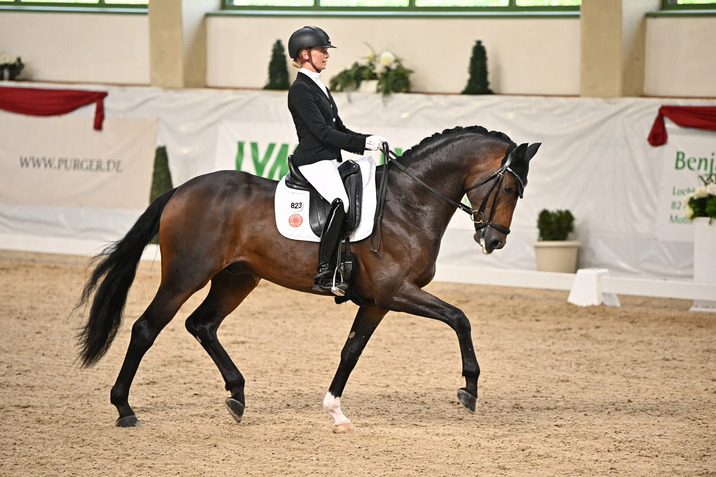 Jessica von Bredow Werndl CPF 2024 by Team myrtill_1.JPG