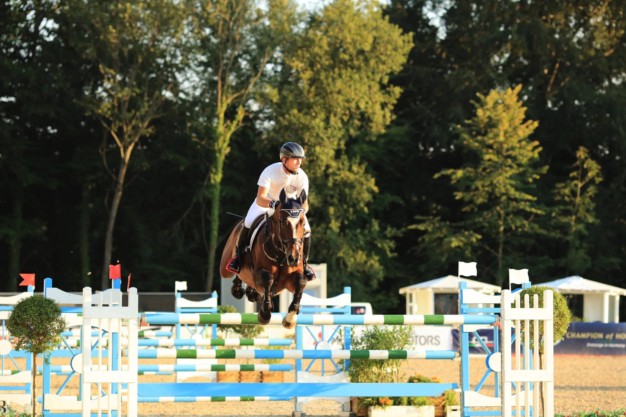 Michael Jung Springen 2_2016.jpg