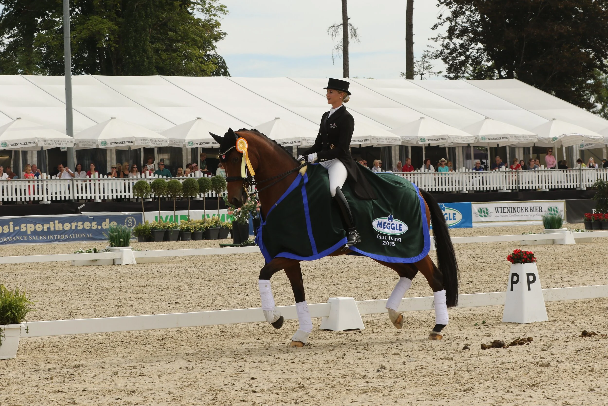 SG Jessika v.B.-Werndl 2015.jpg