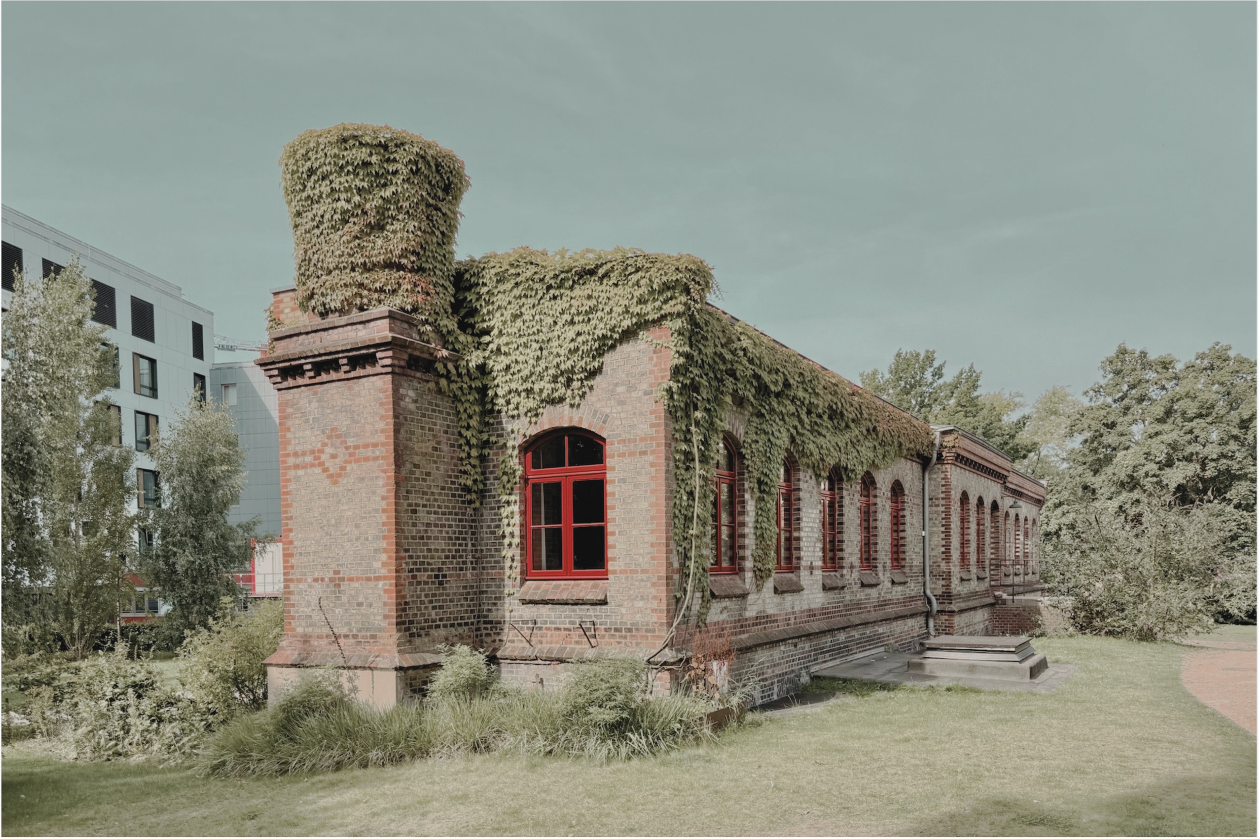 Ein altes Backsteingebäude, das mit Efeu bedeckt ist, im Vordergrund ein grüner Rasen und Bäume, im Hintergrund moderne Bürogebäude.