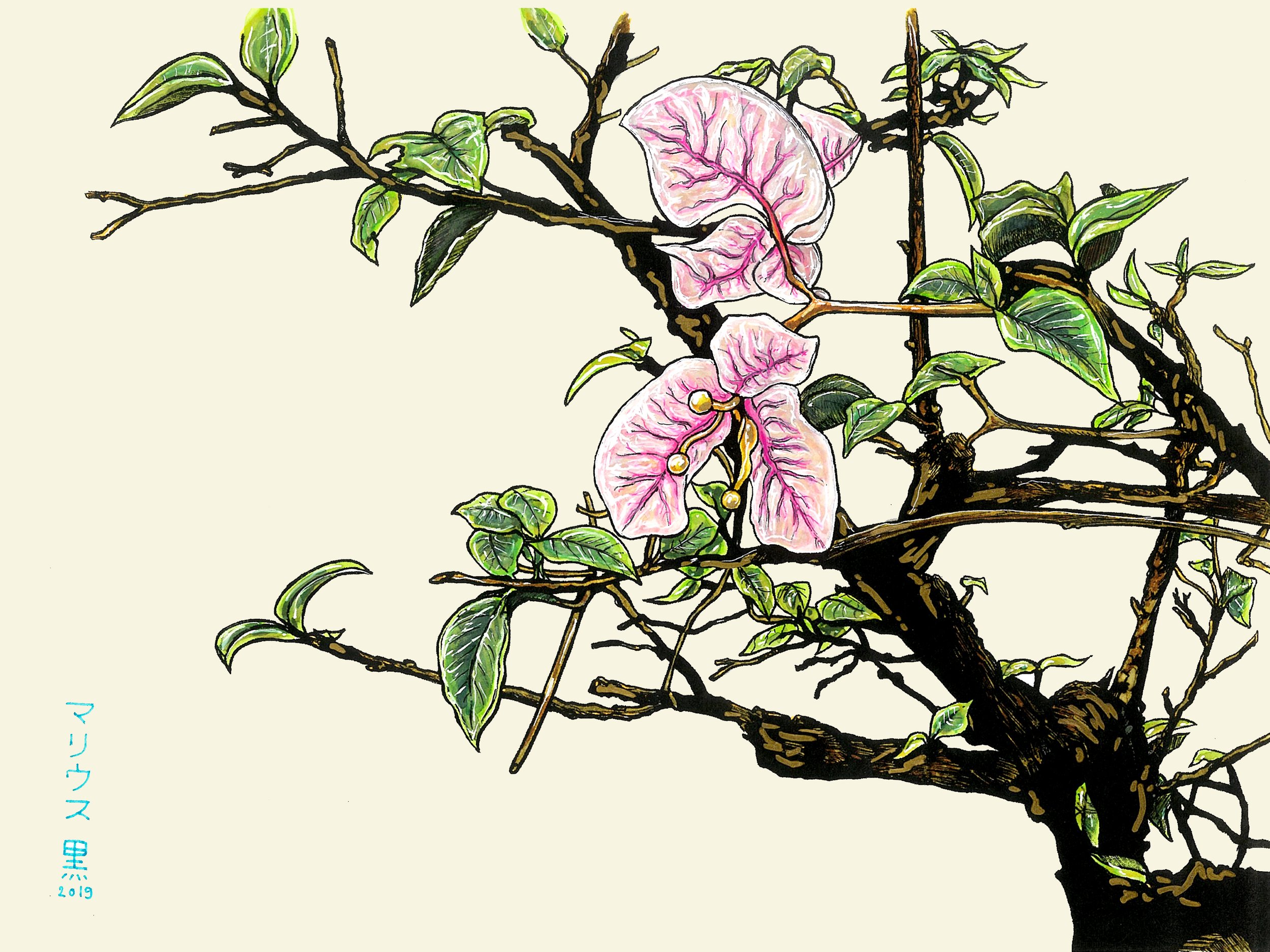 10 Pokok I by Marius Black 2019.JPG
