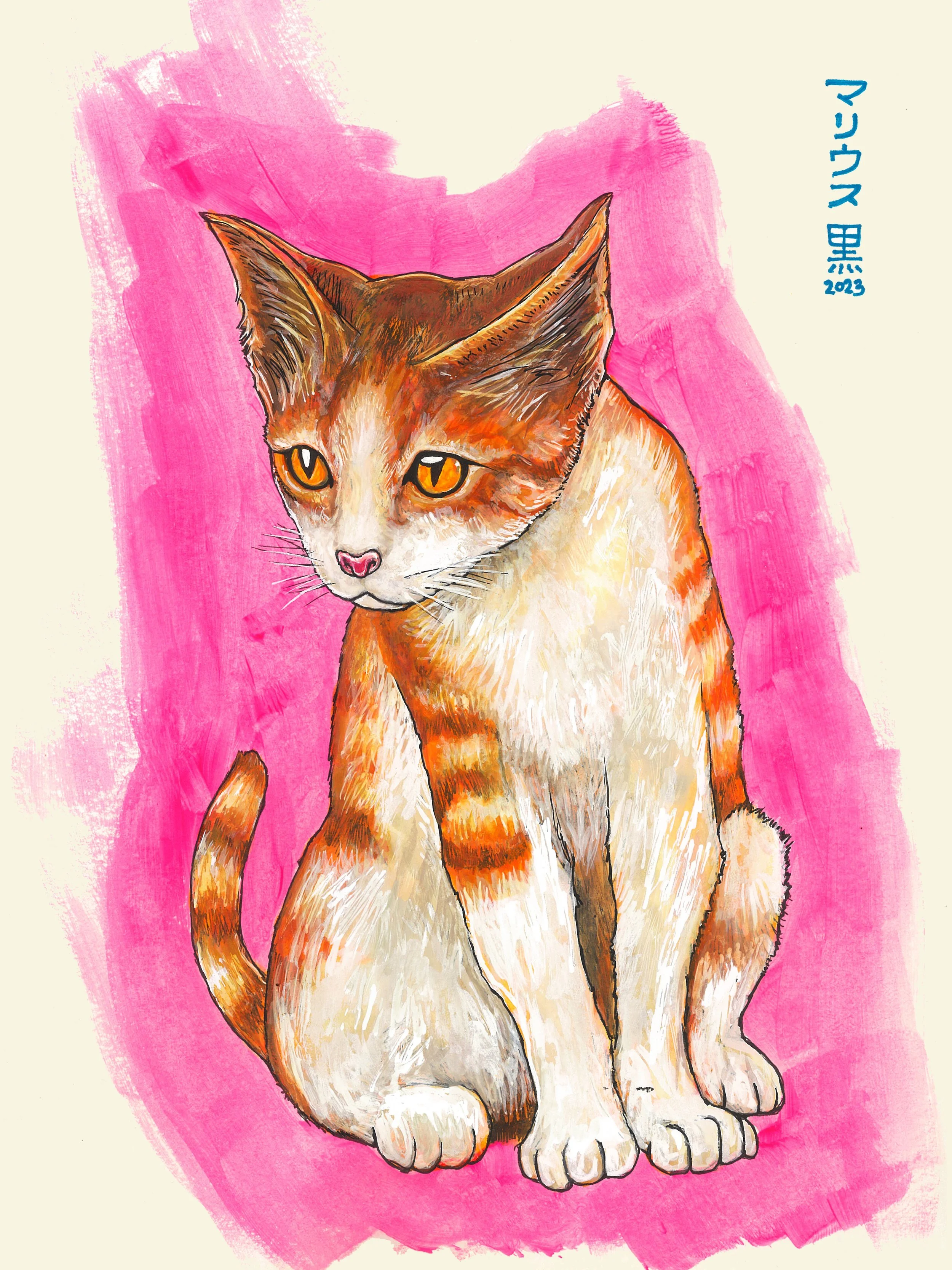 3 KAHEL CAT - Marius Black 2023.jpg