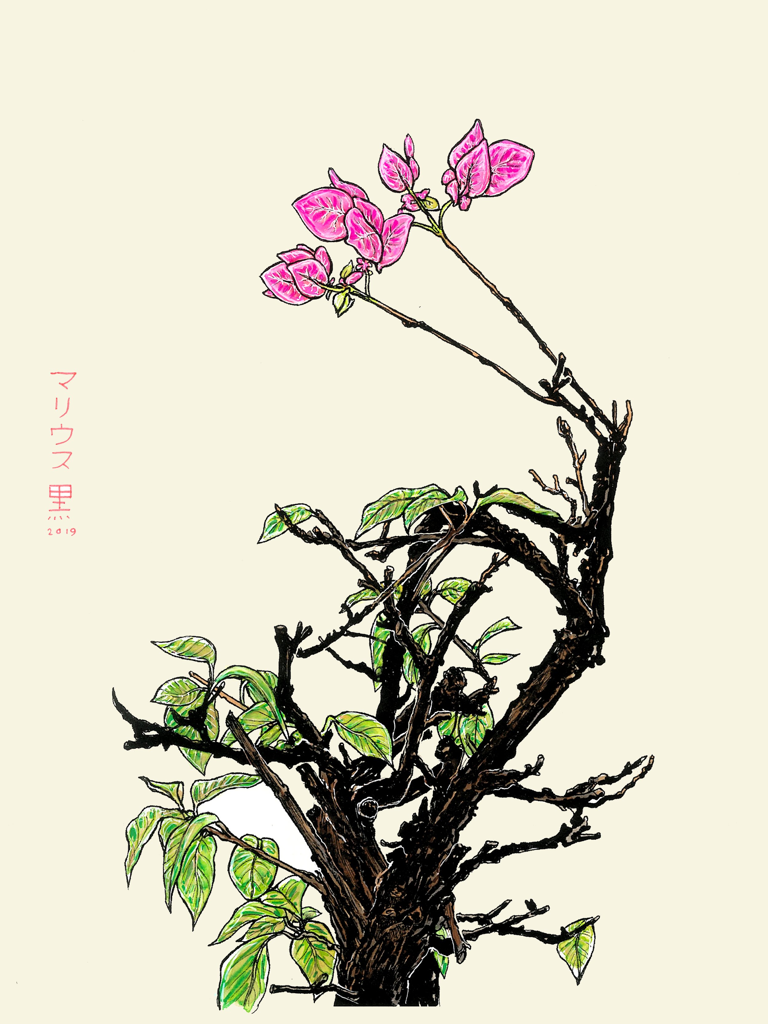 5 Pokok III by Marius Black 2019.jpg
