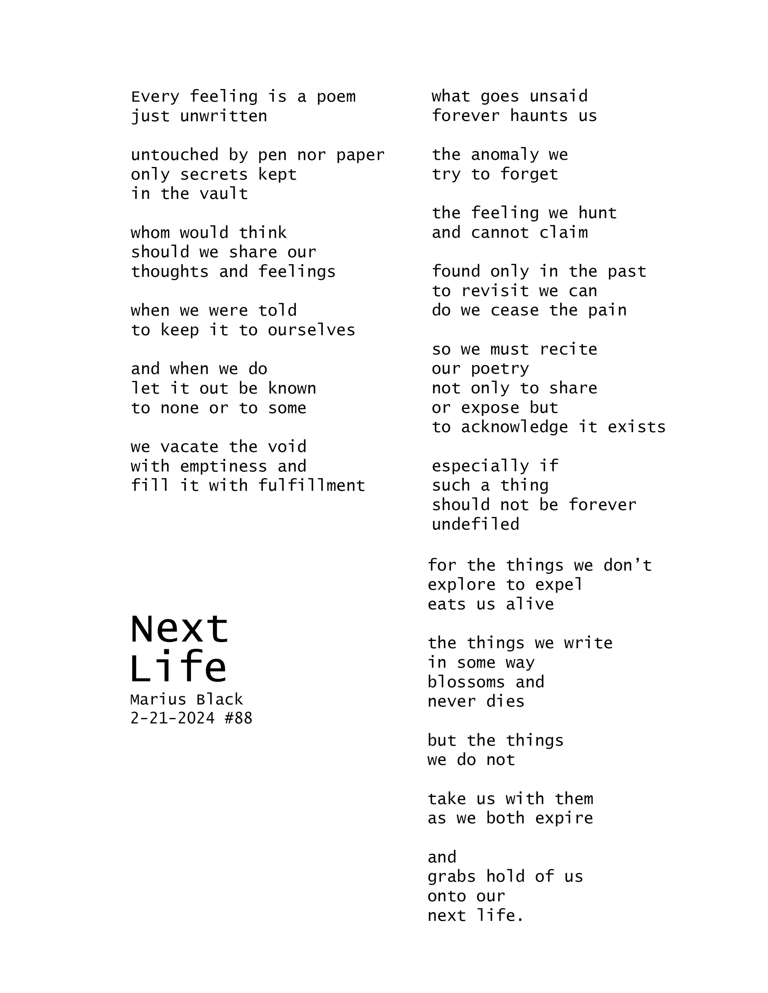 Next Life (85) by Marius Black 2-21-2024.jpg
