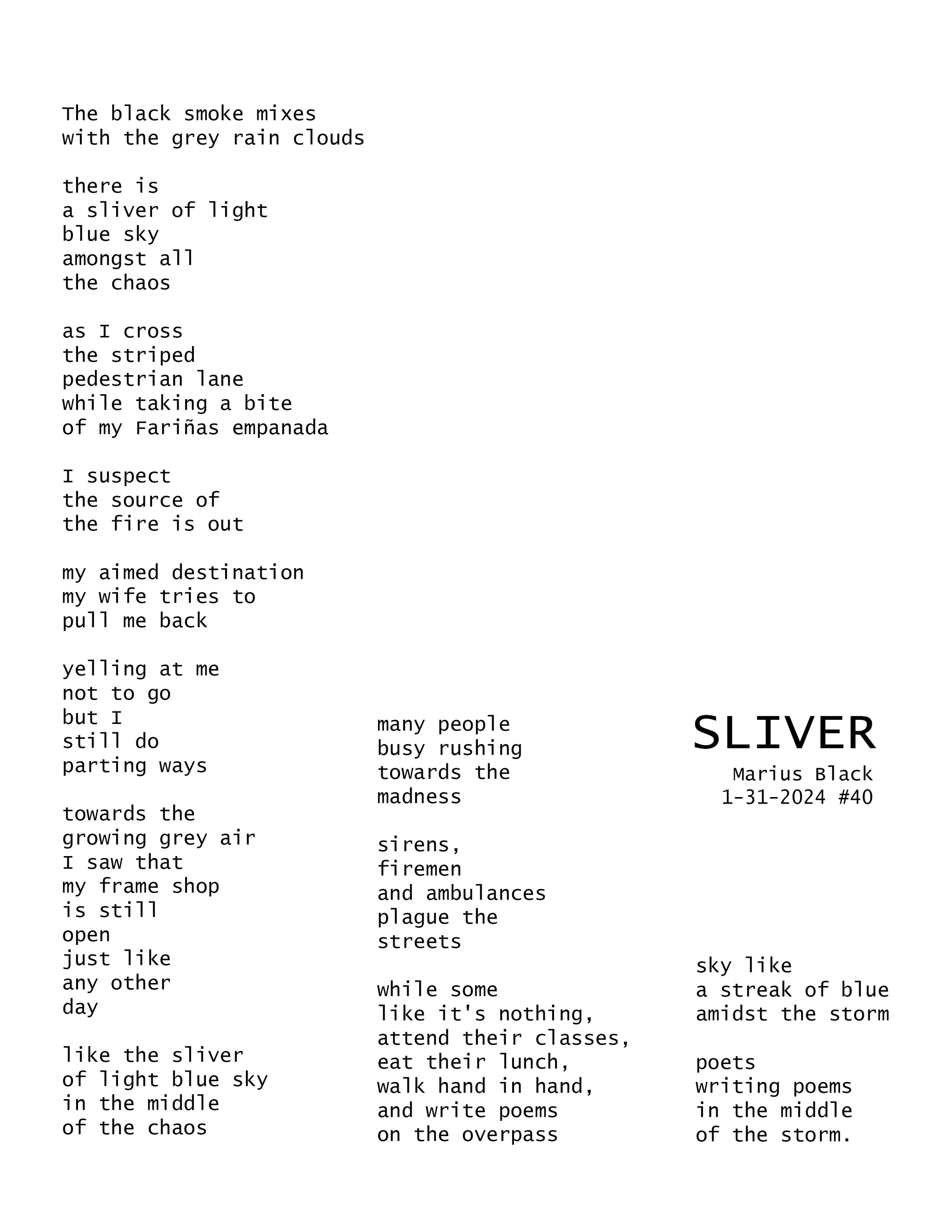 SLIVER (40) by Marius Black 1-31-2024.jpg