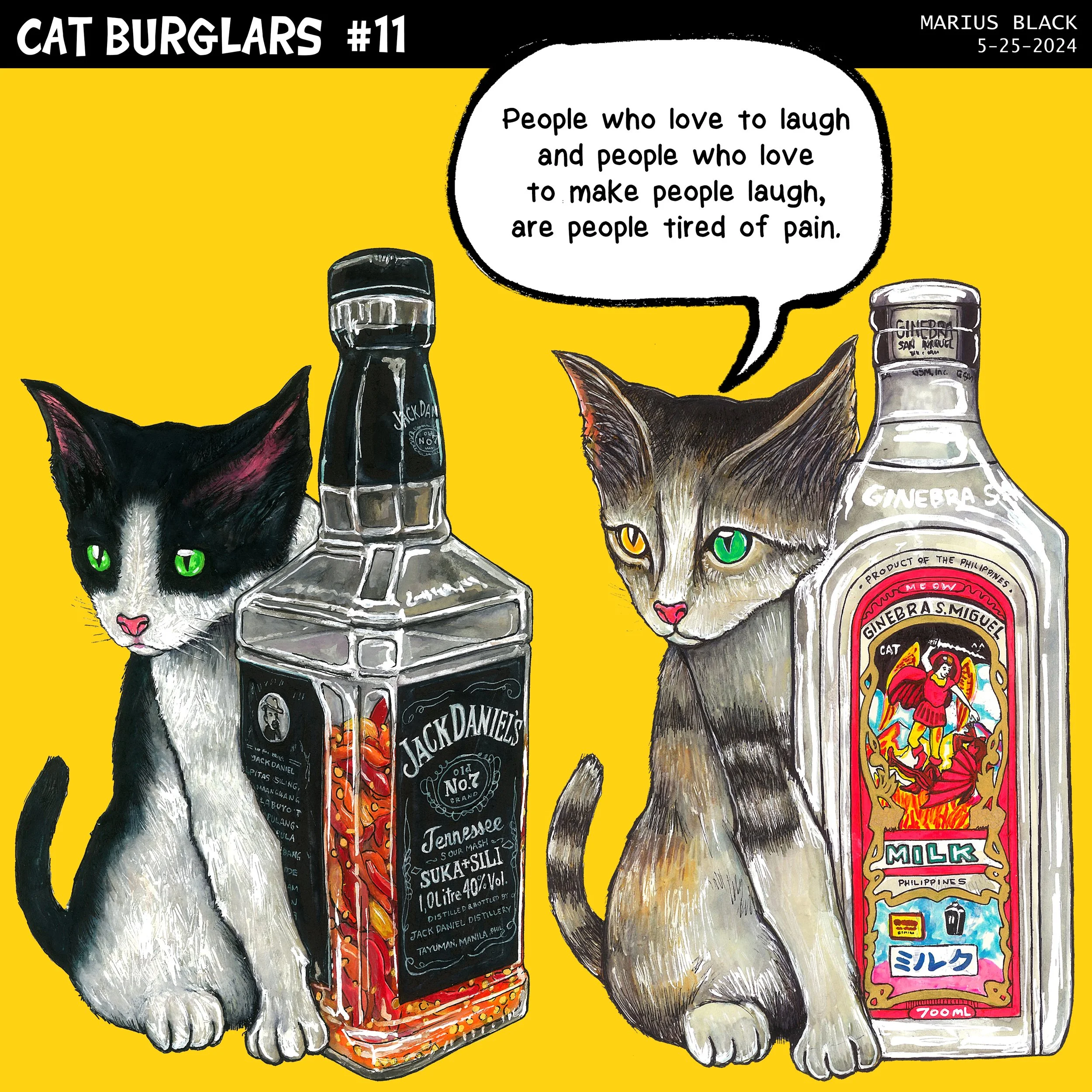 CAT BURGLARS #11 (1).jpg