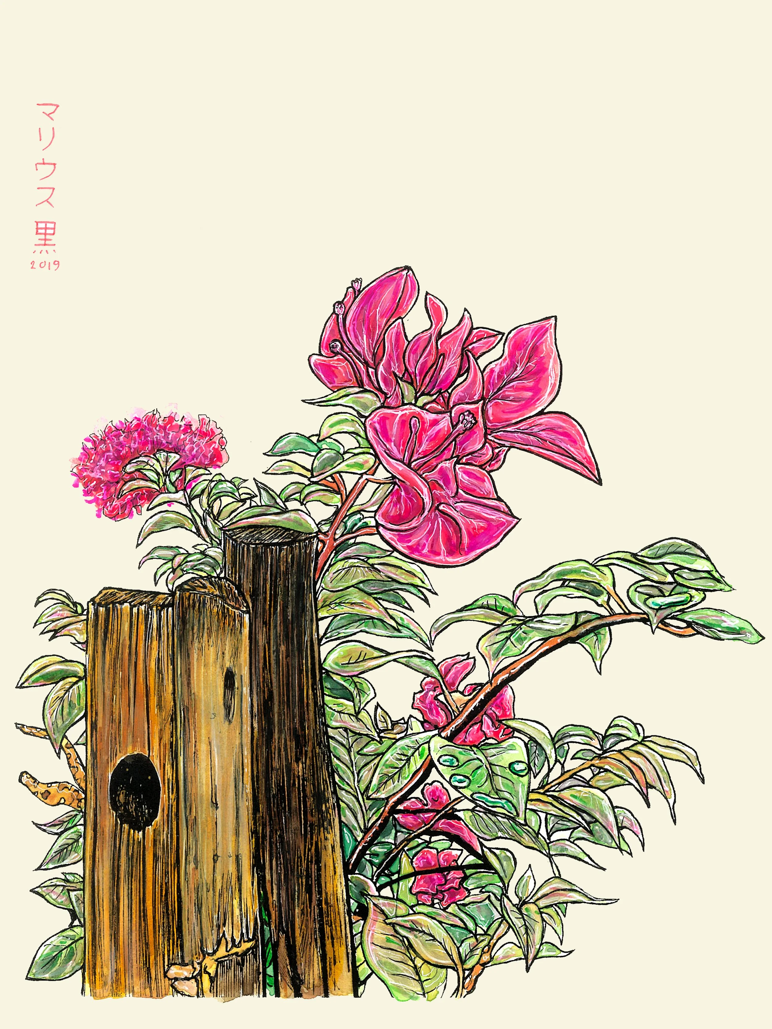13 Drillingsblume by Marius Black 2019.jpg