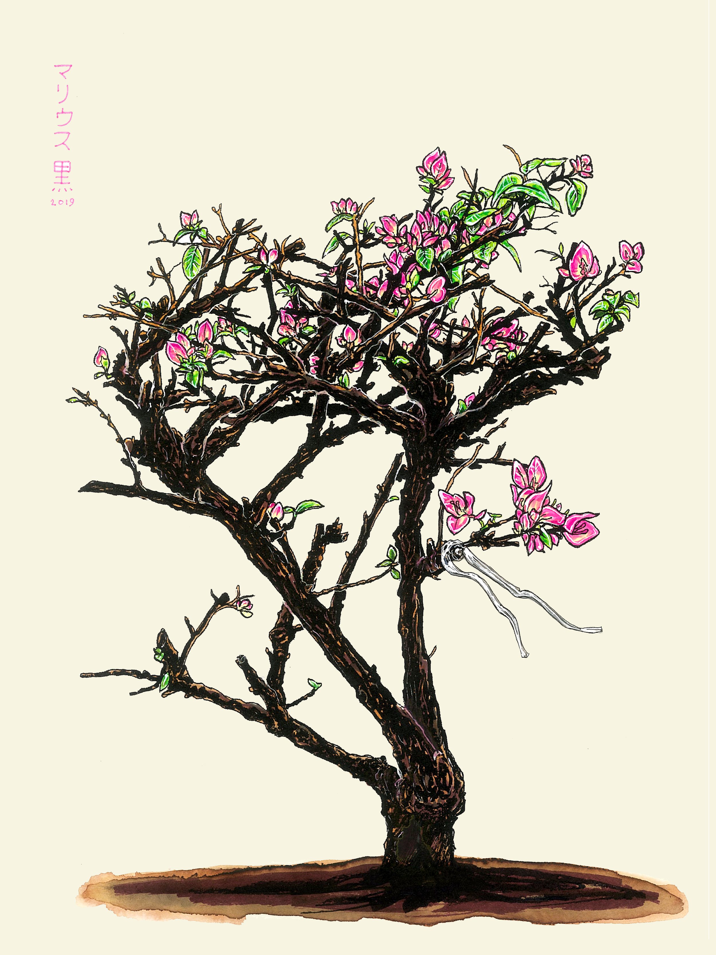 11 Pokok II by Marius Black 2019.jpg