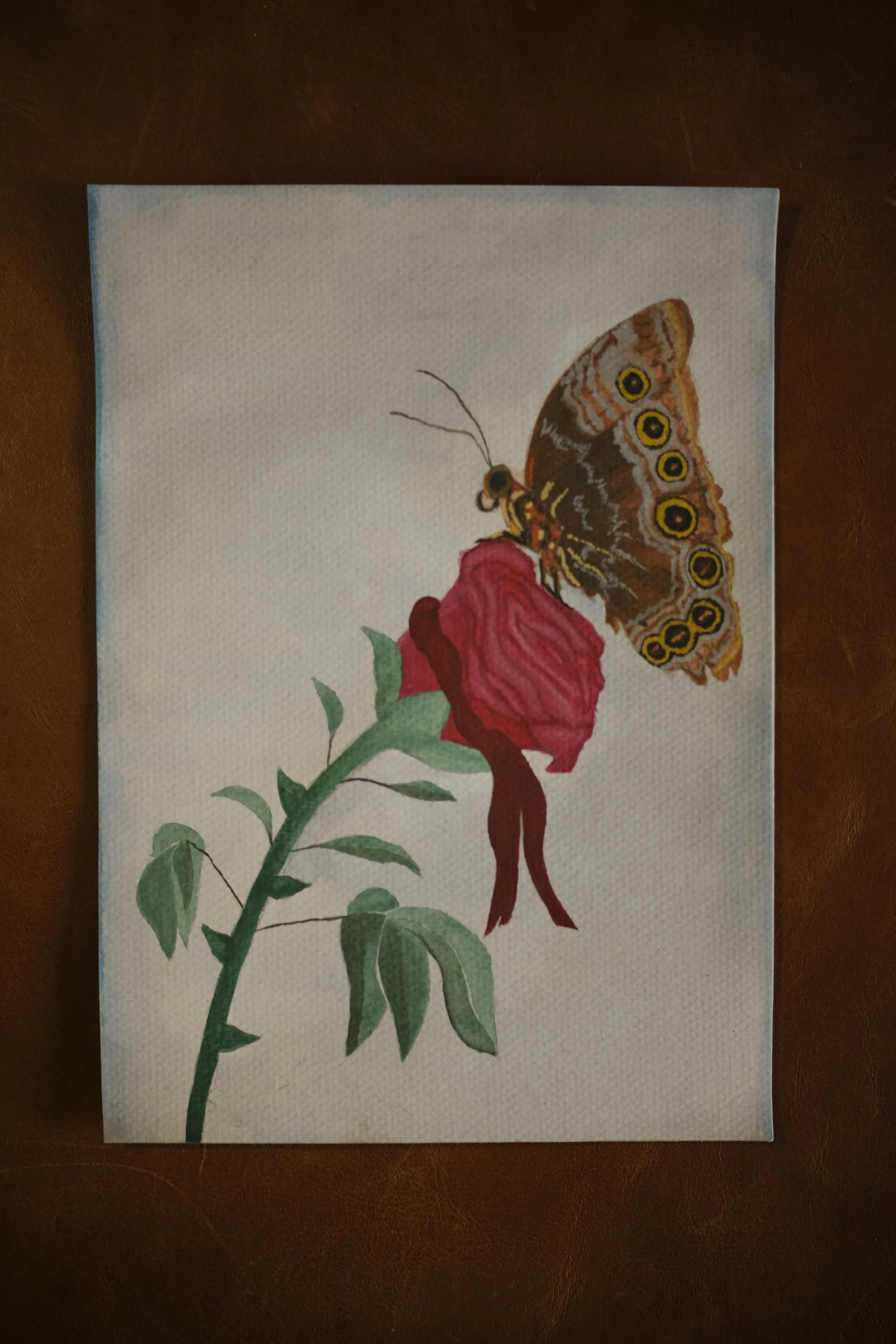 A butterfly with brown wings marked with circular yellow and black spots, perched on a red rose with green leaves and a curved green stem.